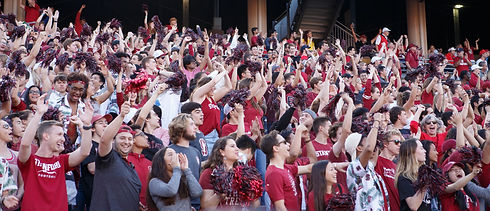 alumnifans.jpeg