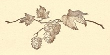 Ale wives and other fables for All Souls Day