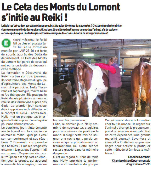 Le Reiki : le Ceta du mont de lomont