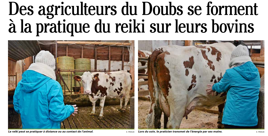 Le Reiki