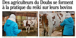 Le Reiki