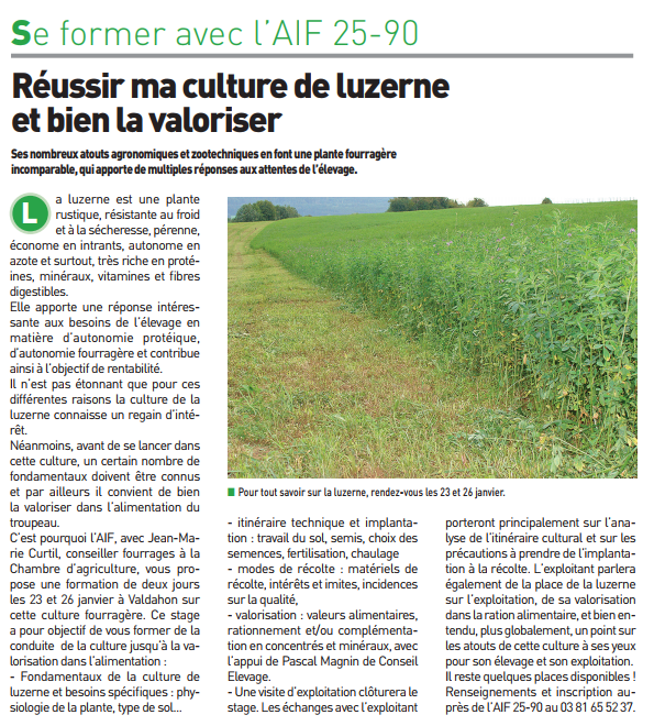 Réussir sa culture de luzerne et bie