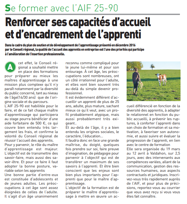 Formation maître d'apprentissage