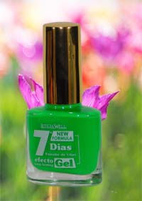 VERNIS À ONGLES EFFET GEL 6 COULEURS - LETICIA WELL