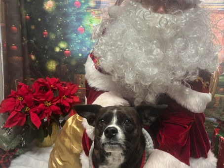 My Coat of Many Colors