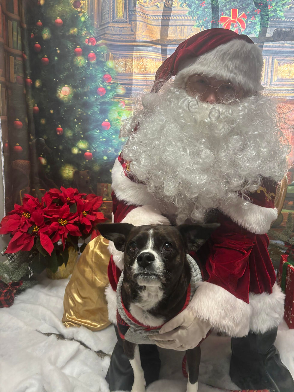 My Coat of Many Colors