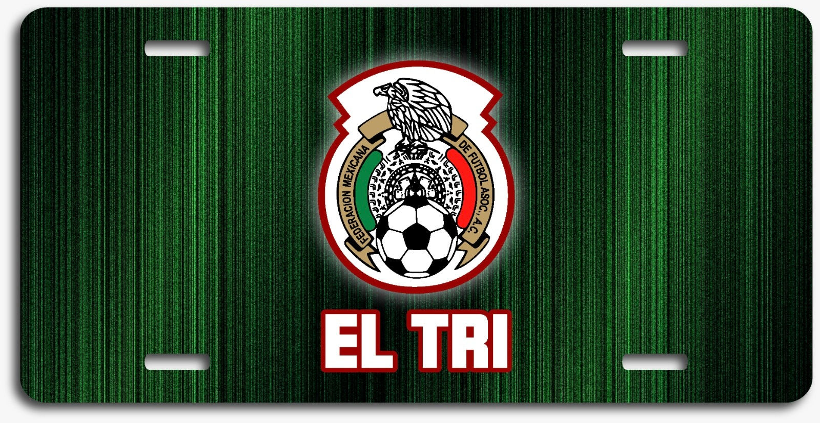 Mexico License Plate