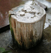fossilized stone column, handmade, bali, indonesia