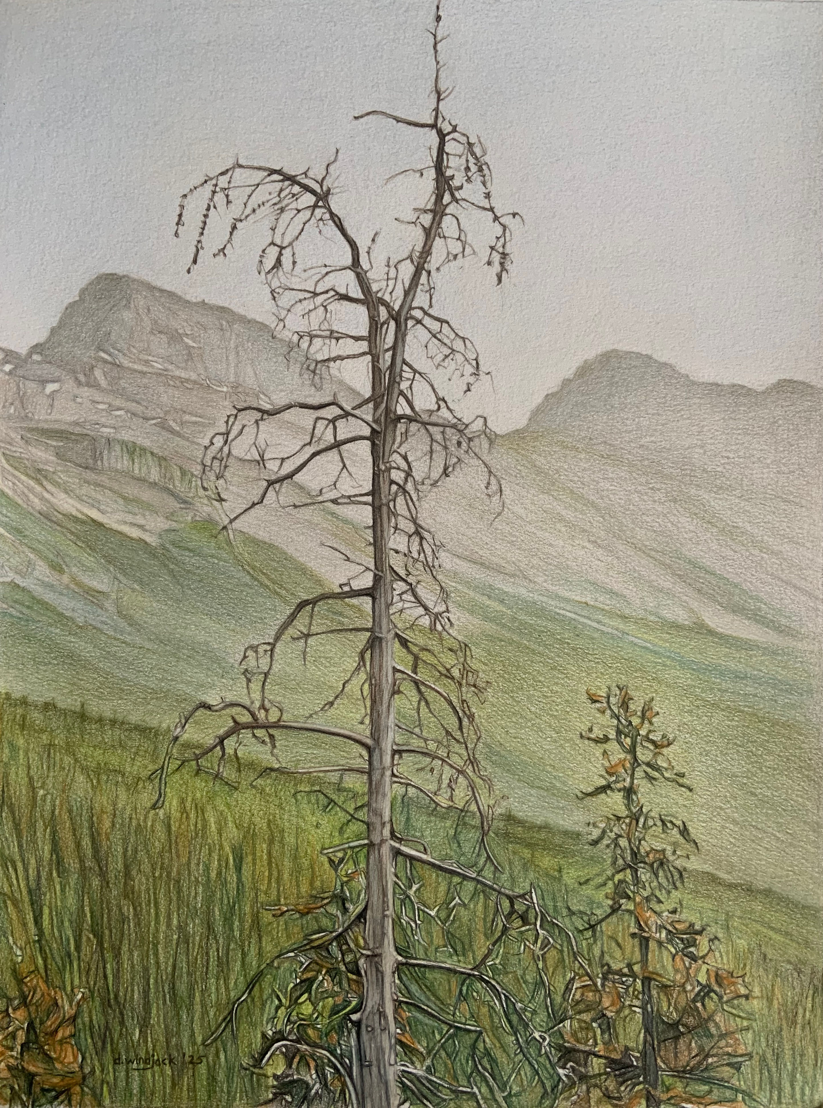 Still Standing (includes frame)