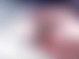 La morsure du furet!