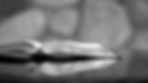 116341_edited.jpg