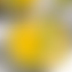 Súp Bí Đỏ Cà Ri Nước Cốt Dừa