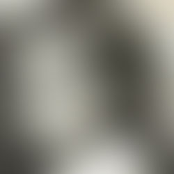 We are the stories we tell