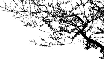 Captura de tela 2025-11-22 025042.png