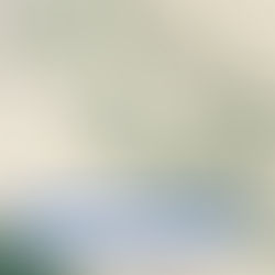 REAL SISTEMA CONTABILIDADE RENOVA PATROCĂNIO COM AMĂRICA FUTSAL