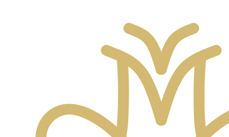 Dr. Márison Logo 4