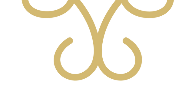 Dr. Márison Logo 5