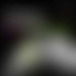 Looking Differently: You are not normal!