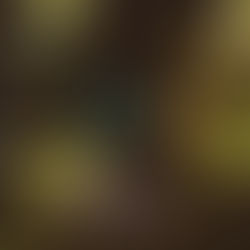 Truth Tips: Doing In-Person Ethnography With Intent