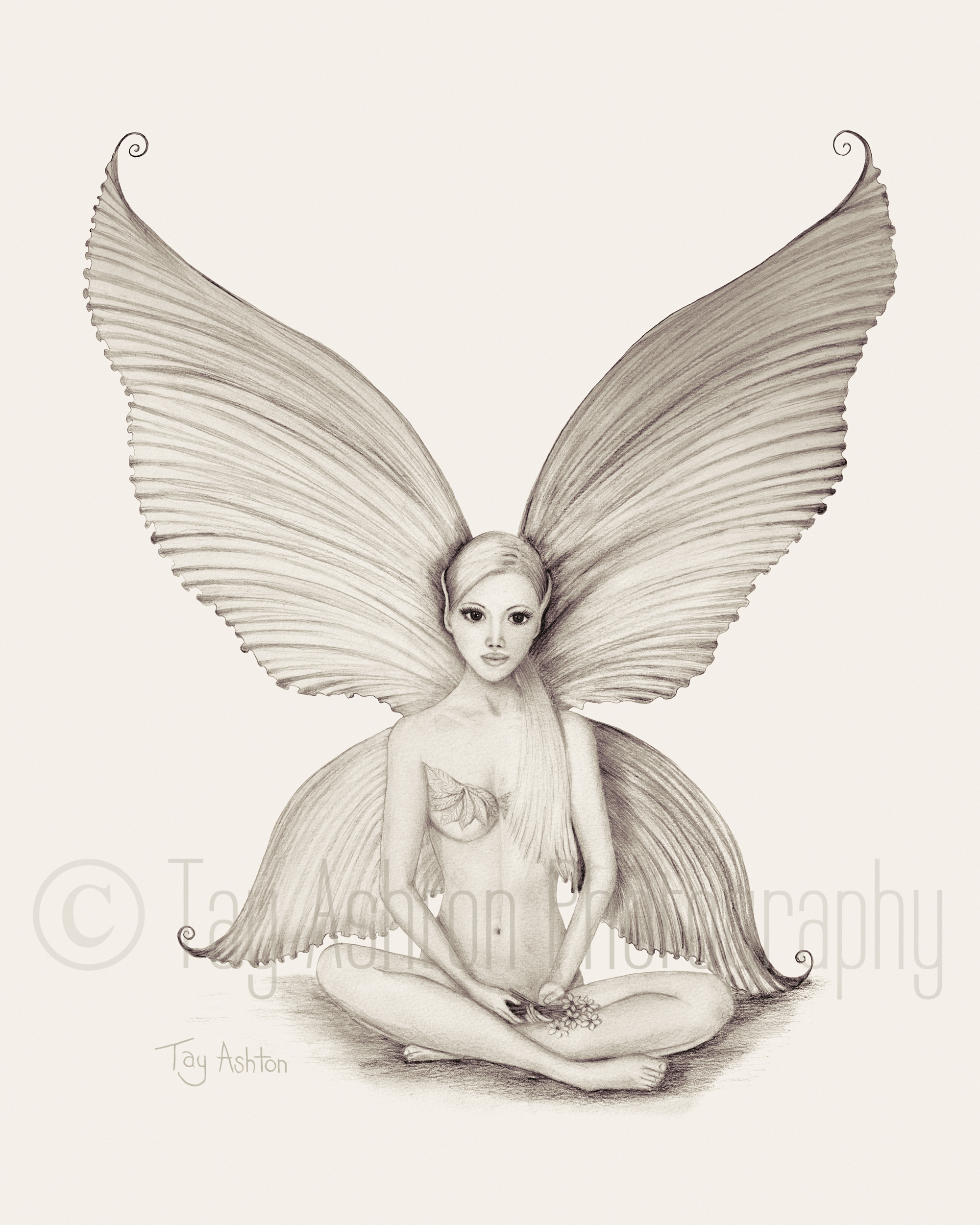Lallaya (Sepia)