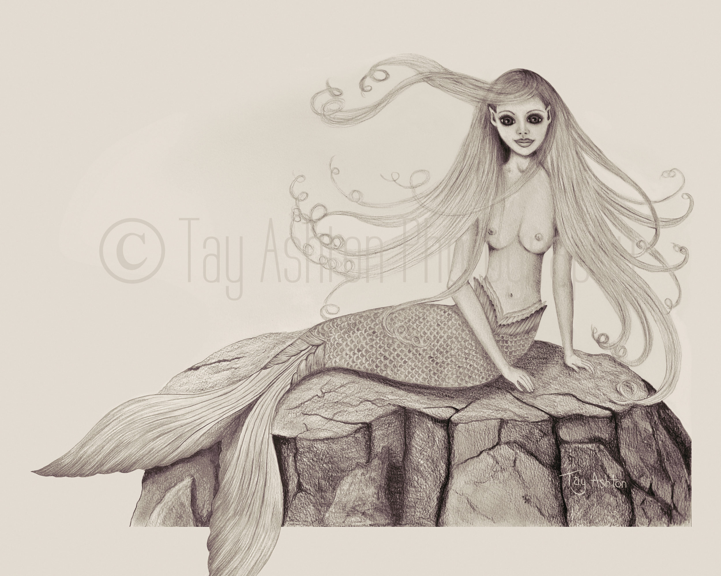 Namoni (Sepia)