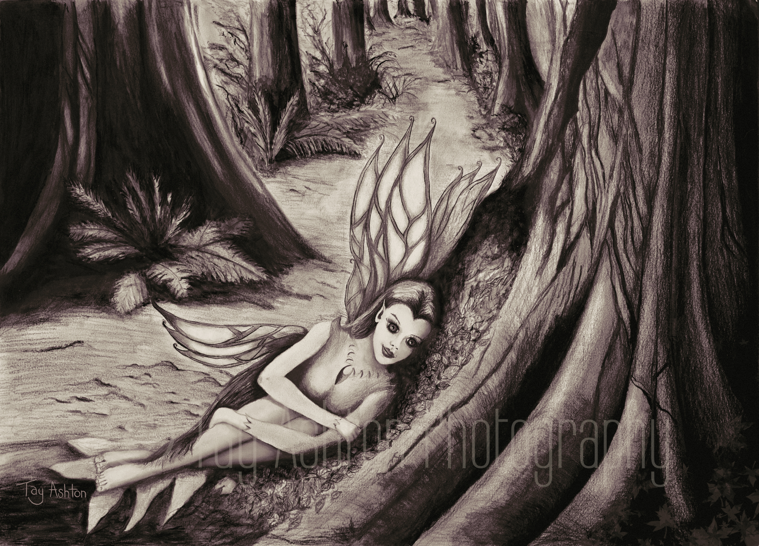 Nanita (Sepia)