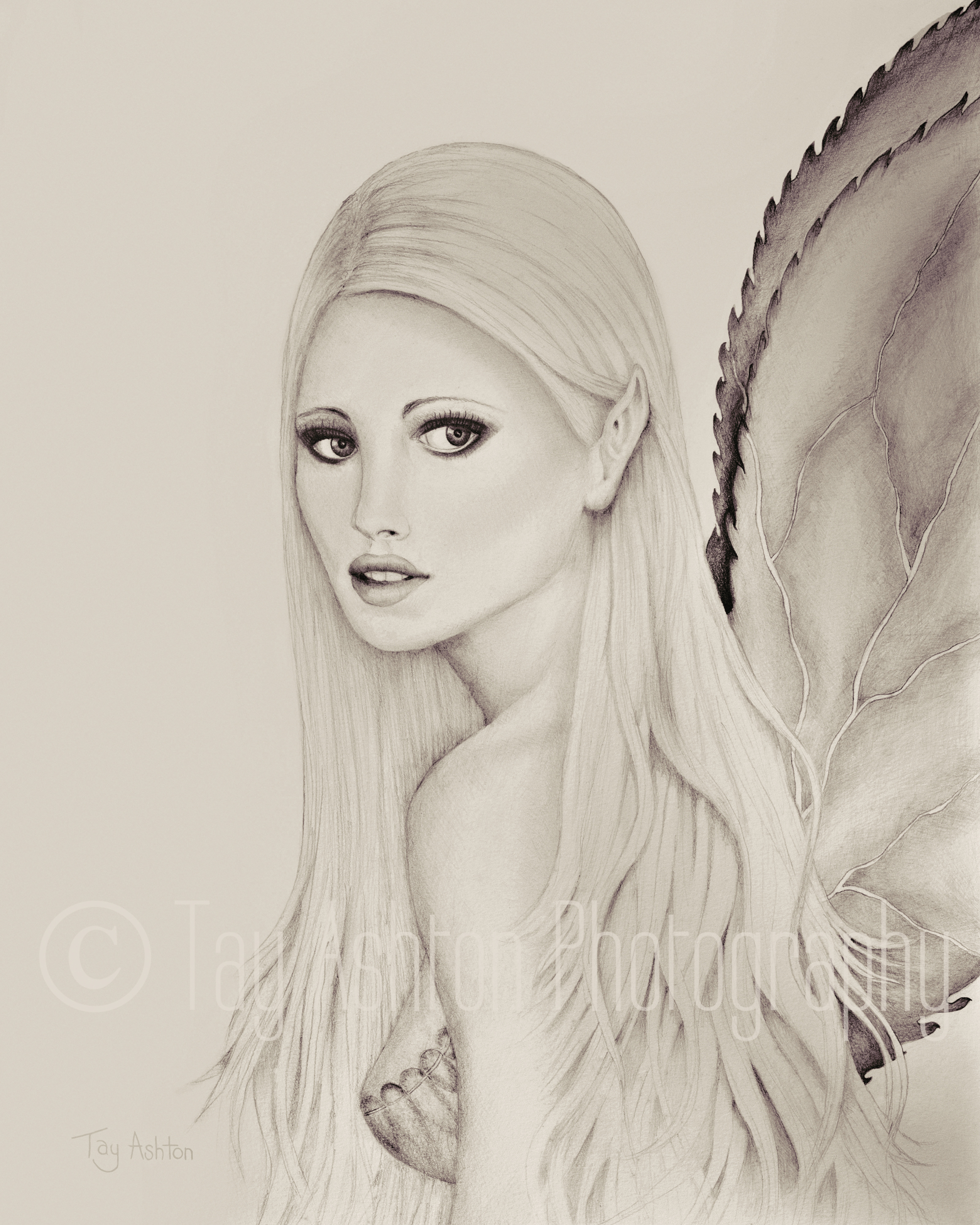 Shenartay (Sepia)