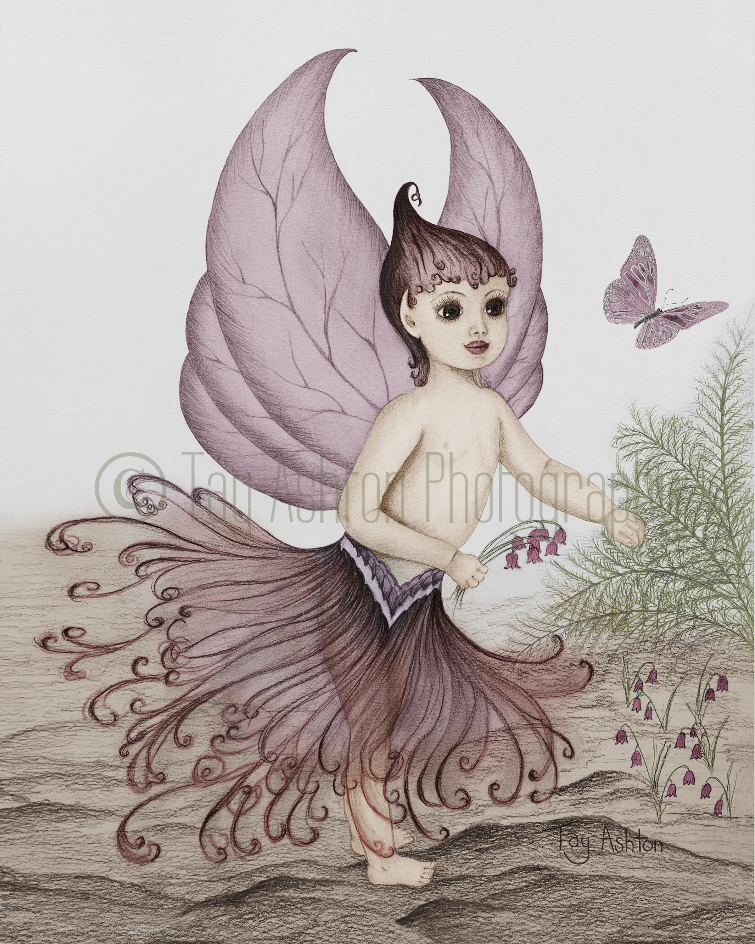 Veralissa (Colour)