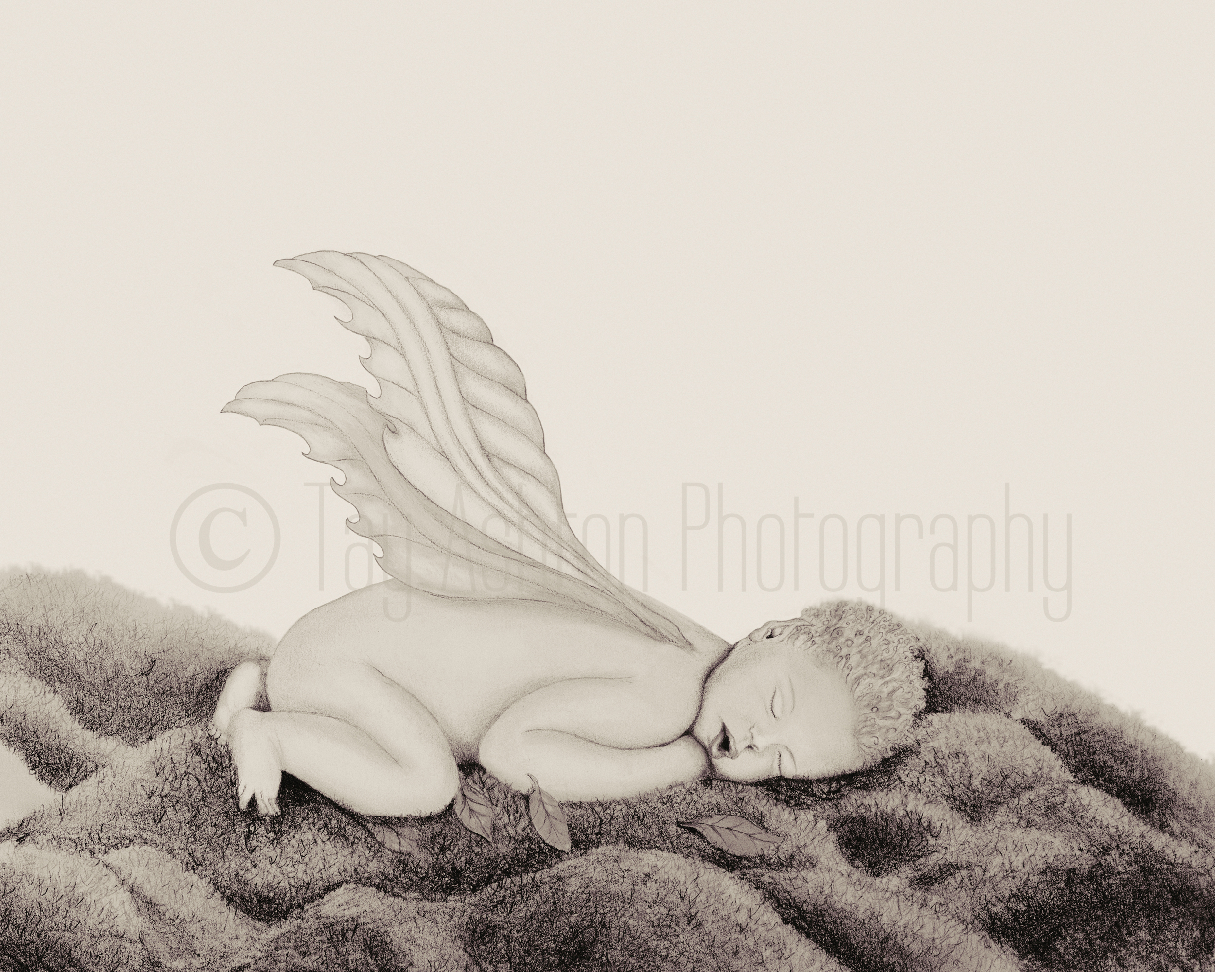 Lantilly (Sepia)