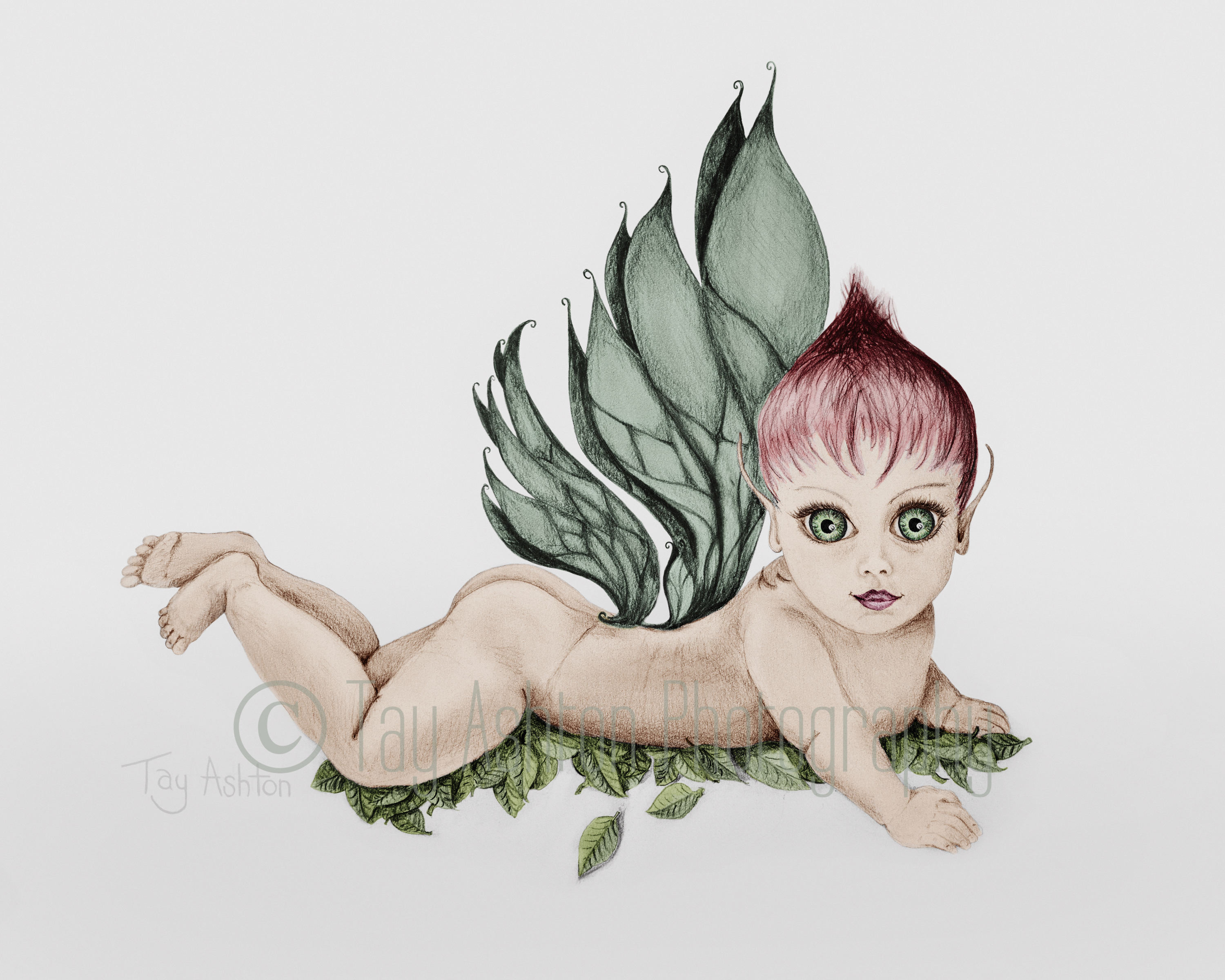 Hanitara (Colour)