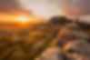 Sunset from King's Tor Dartmoor Devon Uk.jpg