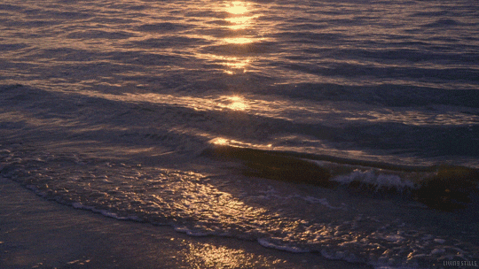 calmocean.gif