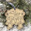 Thumbnail: Hanging Stocking Family Ornament 