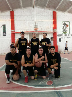 LIBRE - ARTILLEROS