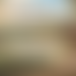 Now Open for Private Appointments