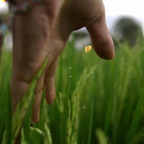 Welcome to 2026: A New Chapter of Creative Immersions