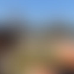 Sacred Feminine Energy Healing with Animals