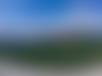 Here’s what to expect from a Winery Tour in California