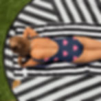 swimwear bathing suit back view