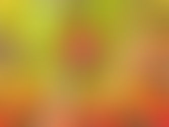 【堅強的金鑽鳳梨】