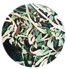 circle pattern,18cm,acrylic on canvas, 2020