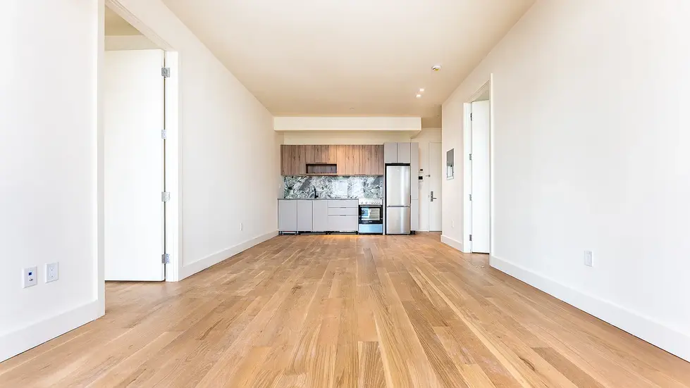 169 johnson luxury williamsburg rental