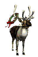 Reindeer GIF