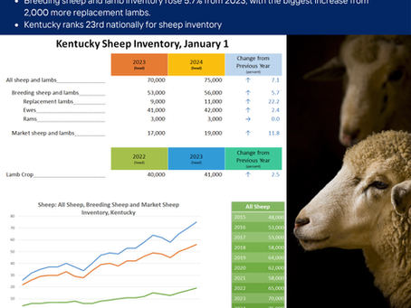 The U.S. Sheep Industry’s Contributions to the U.S. Economy