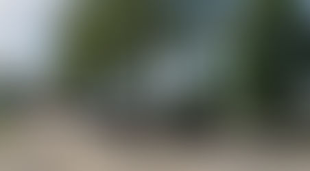 Its Time for the Kentucky Sheep and Fiber Festival