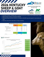 The 2026 KENTUCKY SHEEP & GOAT OVERVIEW
