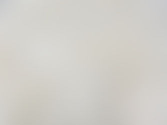 Why Wool? Surprising Facts You May Not Know About Wool