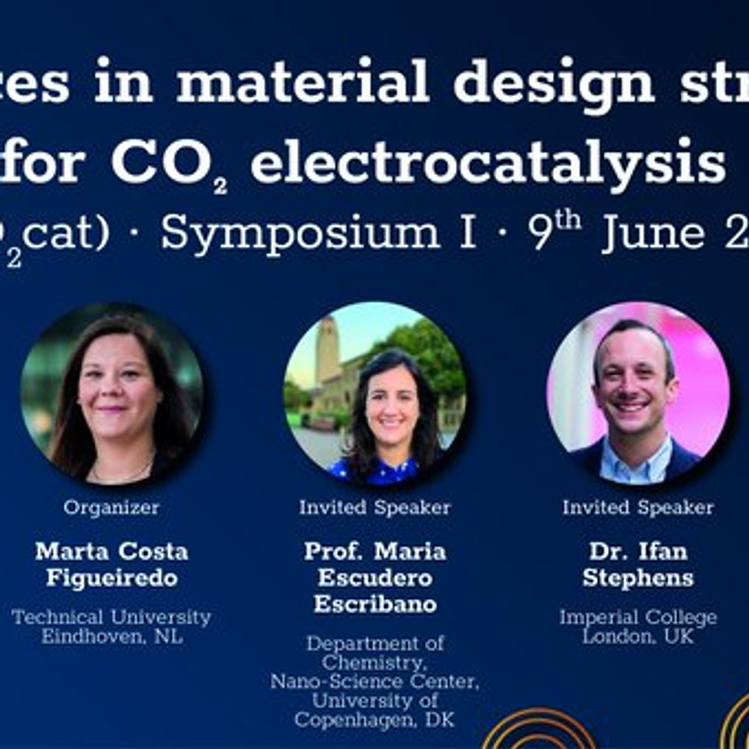 Structure-function Relationships in CO2 Electrocatalysis (CO2cat)