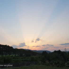 Derniers rayons de la journée...