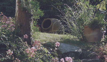 Tranquil Garden Scene